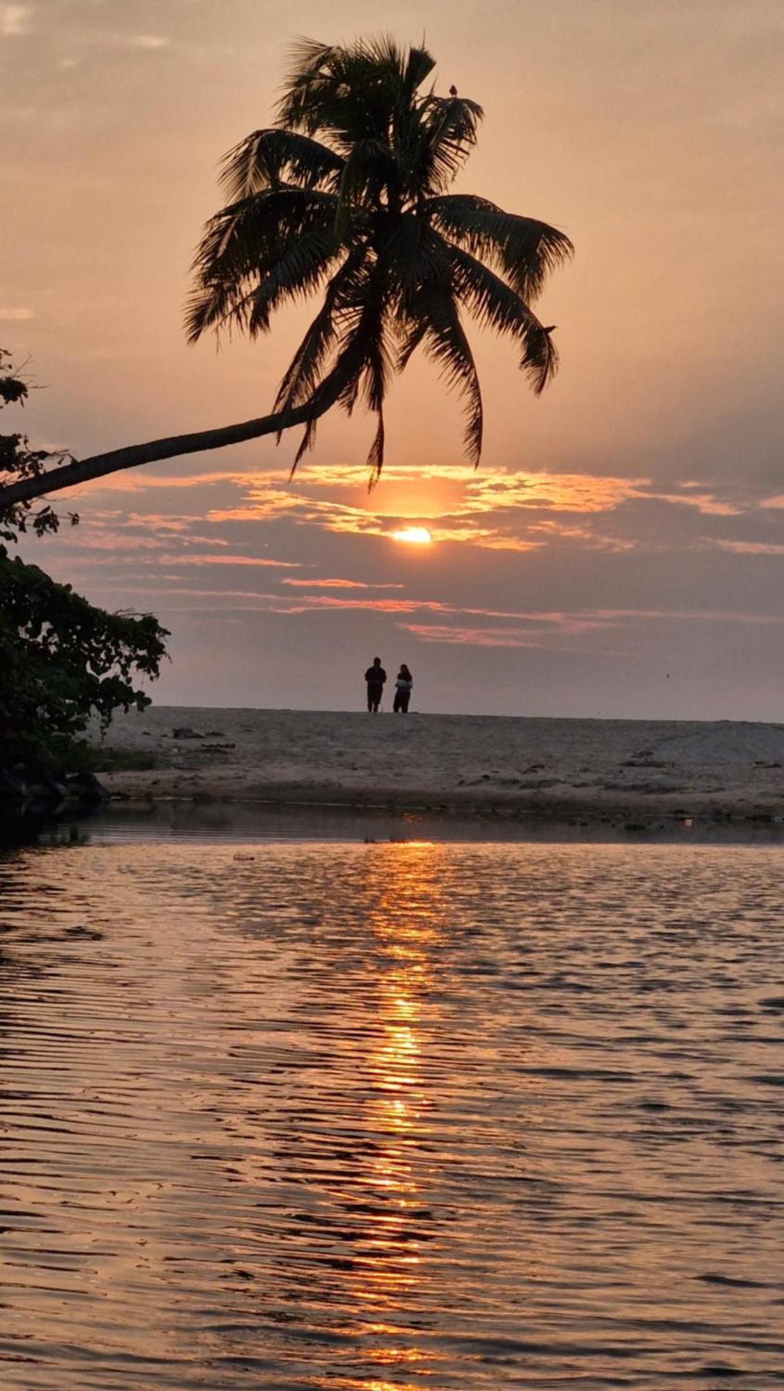 Bed and Breakfast Gypsea Marari Alappuzha Exteriér fotografie